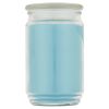 Garden Rain Single-Wick Large Glass Jar Candle, 20 oz